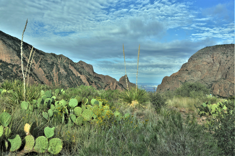 along the window trail